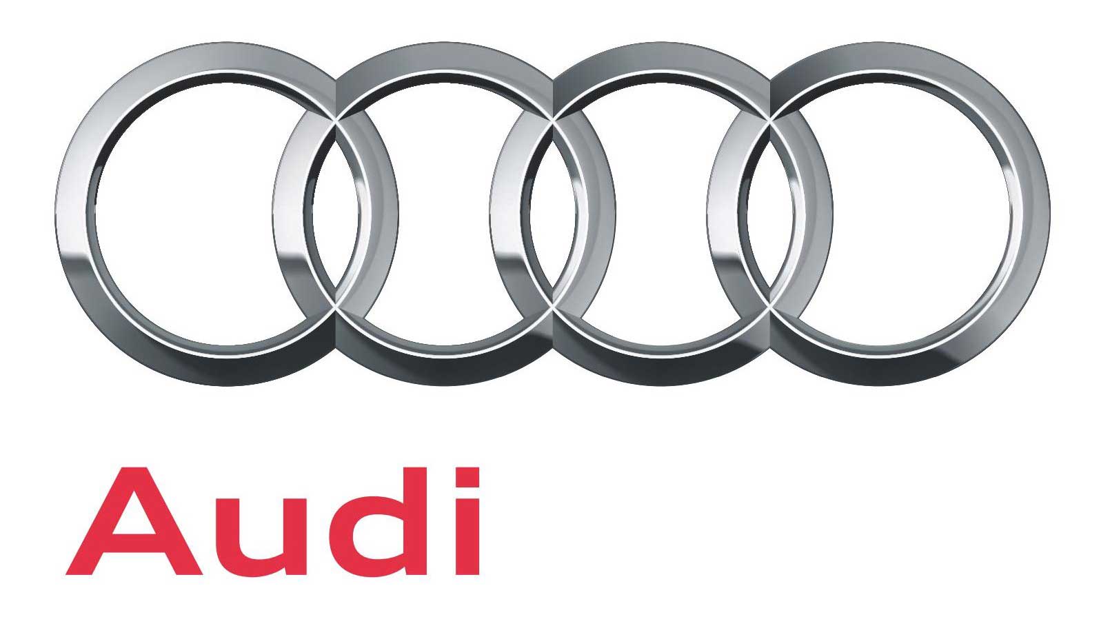 Audi Volkswagen diesel engine group
